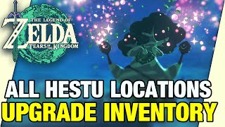 ALL HESTU LOCATIONS How to Upgrade Inventory Slots Zelda Tears of the Kingdom HETSU [upl. by Ahsilrac]