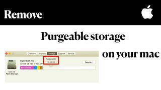 Remove Purgeable Storage on your mac 2020  Big Sur [upl. by Oba]