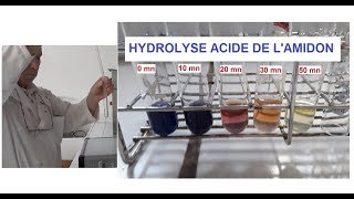 Hydrolyse acide et à chaud de lamidon TP [upl. by Annamarie]