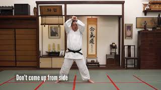 Advanced bokken drills with Ken Watanabe and the Aikido Center of Los Angeles [upl. by Sivram]