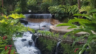 Exploring Costa Rica Tabacon thermal resort amp Spa Hot springs vlog [upl. by Elvia]