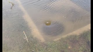 MASSIVE parking lot storm drain unclogging draining flooded parking lot with big whirlpool [upl. by Aylward]