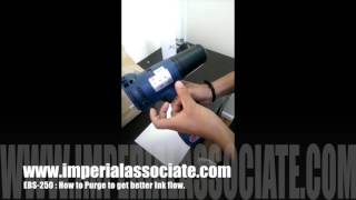 How to Purge Clean EBS 250 Handjet Printer [upl. by Bernstein]