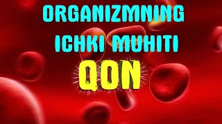 Odam organizmining ichki muhiti  Qon  Limfa  Toqima suyuqligi [upl. by Aynekal]