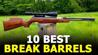 10 Best Break Barrel Air Rifles for Pest Control  10 Hunting Air Rifles 2021 [upl. by Schilt]