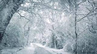 Blizzard Sounds for Sleep Relaxation amp Staying Cool  Snowstorm Sounds amp Howling Wind in the Forest [upl. by Bob]