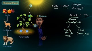 Life Process  Nutrition Mode of Nutrition and Photosynthesis  CBSE Class 10 Science  Biology [upl. by Iniffit]