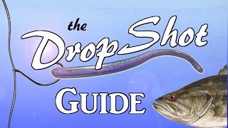 DROPSHOT Guide  The Most Effective Rig in Bass Fishing [upl. by Ruprecht]