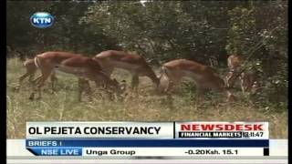 Ol Pejeta Conservancy [upl. by Giraud]