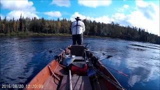 Mega salmon over 46 lbs TornionMuonionjoki river [upl. by Aileon203]