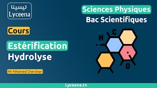 cours Estérification  Hydrolyse  Lyceenatn [upl. by Eelirol]