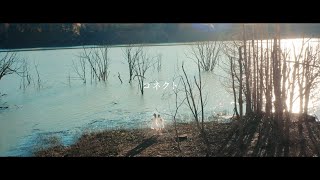 ClariS 『コネクト』 reformare Music Video 【TVアニメ「魔法少女まどか☆マギカ」オープニングテーマ】 [upl. by Ness]