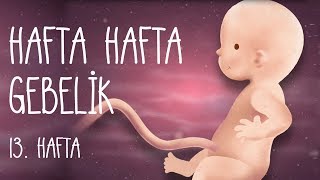 Hafta Hafta Gebelik 13 hafta [upl. by Nesiaj]