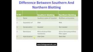 Difference Between Southern and Northern Blotting Techniques [upl. by Hazem]