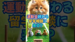 【留学相談】運動会が終わると留学相談が増える！？ 留学相談 ワーキングホリデー ココア留学 [upl. by Guthry]