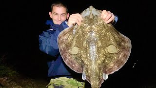 Beach Fishing Autumn 2020  Shore Fishing  Undulate Ray [upl. by Narol]