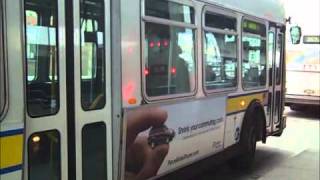 CTA and Pace Bus Insanity at 95thDan Ryan Red Line Station [upl. by Teeter]