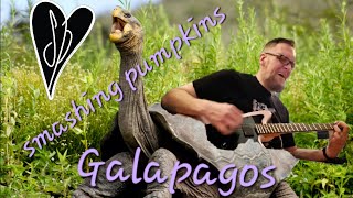 Smashing Pumpkins Galapagos Guitar Cover [upl. by Lehet812]