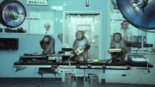 The Secrets Behind the Basement Jaxx Wheres Your Head At Video [upl. by Akcirret]