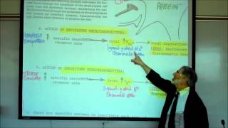 SYNAPTIC TRANSMISSION IN THE CNS PART 1 by Professor Fink [upl. by Langdon]