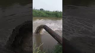 Full discharge dewatering sound tubewell agricultural farming kisan [upl. by Aivilo]