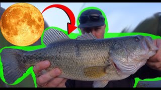 DID IT WORK Bass Fishing First Full Moon quotSpringquot [upl. by Pricilla]