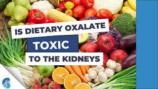 Is dietary oxalate toxic to the kidneys [upl. by Garwin]