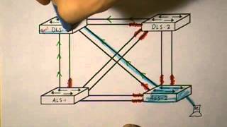 How Spanning Tree Protocol Prevents Loops [upl. by Nanis675]