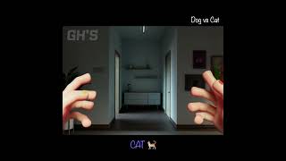 DOG vs CAT  POPPY PLAYTIME CHAPTER 3  GHS ANIMATION [upl. by Otte476]