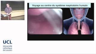 2 Lanatomie respiratoire de la bouche aux alvéoles pulmonaires [upl. by Zales]