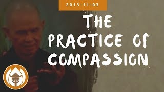 The Practice of Compassion  Dharma Talk by Thich Nhat Hanh 20131103 [upl. by Arlen]