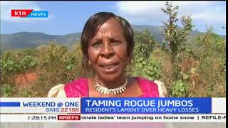 Taita Taveta residents express concern over huge loses they incur as a result of destruction [upl. by Milton79]