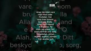 Hadith på svenska hadithpåsvenska islamse [upl. by Schifra953]