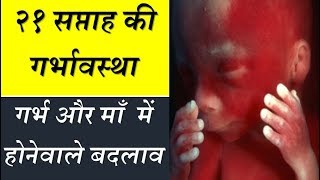 21 weeks of pregnancy baby development in hindi [upl. by Aidnyc473]