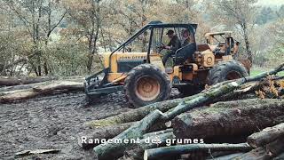 Abattage  du bûcheron au grumier Vosges 2021 🌲🚜🚚🇨🇵 [upl. by Mclain]