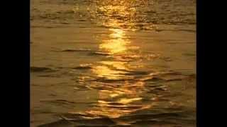 Ganga Maiya Ho Pawan Ganga Maiya I Ganga Bhajan I Ganga Maa [upl. by Atteval2]