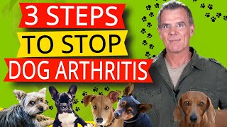 Dogs Arthritis Pain Relief 3 Natural Steps to Treatment [upl. by Nairoc727]