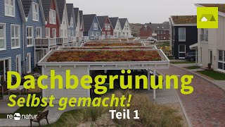 Gründach für Carport Anbau oder Gartenhäuschen Wie geht das [upl. by Aznola]