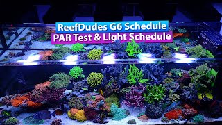 ReefDudes Ecotech Radion G6 Schedule and PAR test [upl. by Schechinger]