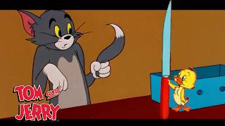 Tom amp Jerry going feral  GenerationWB [upl. by Jess]