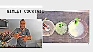 How To Make Gimlet Cocktail  Cocktail Recipes [upl. by Htrap]