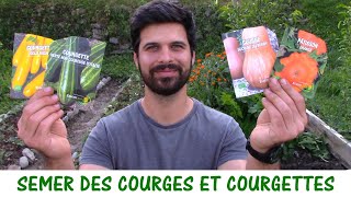 SEMER DES COURGES COURGETTES  et autres cucurbitacées [upl. by Ennagrom]