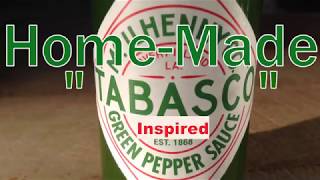 HomeMade quotTABASCOquot Inspired Green Pepper Sauce with Jalapenos [upl. by Eignat838]