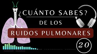 Los Ruidos Pulmonares  TEST DE AUSCULTACIÓN PULMONAR anormales fisiologia medicina [upl. by Styles]