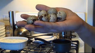 How To Hard Boil Quail Eggs [upl. by Flodnar691]