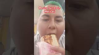 Mexico good burritos in Mexicali [upl. by Adnoval]