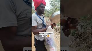 SITAWAI WEKWA TENA🥰duettrendingfunnyvideosfunnykenyacomedyyoutubeshortsshortsviralvideo [upl. by Kale]