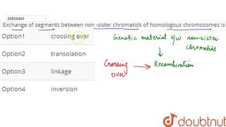 Exchange of segments between non sister chromatids of hom [upl. by Flanna]