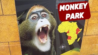 MONKEY PARK TENERIFE Canary Islands  Amazing Place For Kids amp Adults 🇪🇸 [upl. by Semaj]