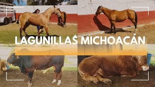 🐎EXPO AGROPECUARIA 🐂🐄🐏2023 LAGUNILLAS MICHOACÁN [upl. by Bowne]